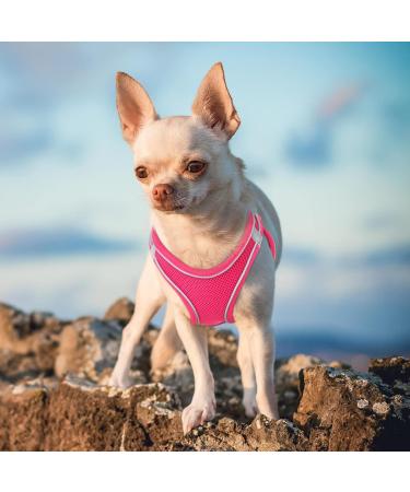 Adjustable Reflective Dog Harness for Small Dogs - Breathable Anti-Train Design Ideal for Walking & Running | Heele - Rose Red (1 Pack) - Buy Online on GoSupps.com