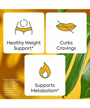 Plant People WonderBurn Metabolism & Cravings Control Gummies Zero Sugar Ripe Mango Flavor (60 Count) - Buy Online on GoSupps.com