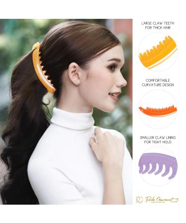 Buy RC ROCH 6 Poster Hairklamm - High-Quality Women's Hair Clamps for Extra Volume | Colorful Multifolitis - 1 Pack - Buy Online on GoSupps.com
