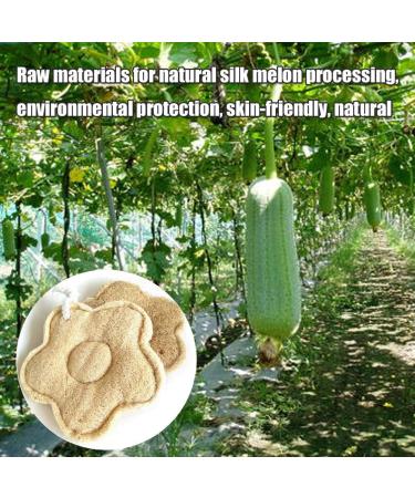 JJFLY Natural Loofah Sponge - Exfoliating Bath Scrubber for Dead Skin Removal | 100% Organic & Eco-Friendly - Buy Online on GoSupps.com