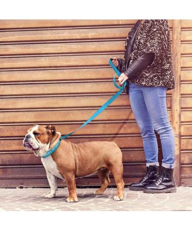 Tagme Personalized Reflective Dog Collar & 1.5m Leash for Large Dogs - Sky Blue (1-Pack) | Durable & Stylish - Buy Online on GoSupps.com