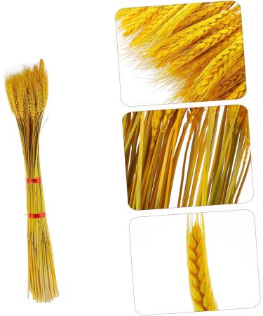 HOMSFOU 100pcs Dried Wheat Ears Bouquet Decor Wedding Wheat Ear Wheat Stalk Natural Wheat Ear Dry Flowers Home Wheat Ear Flowers Wheat Ear Dried Flowers. Rural Real Flower Yellow 52X10CM - Buy Online on GoSupps.com