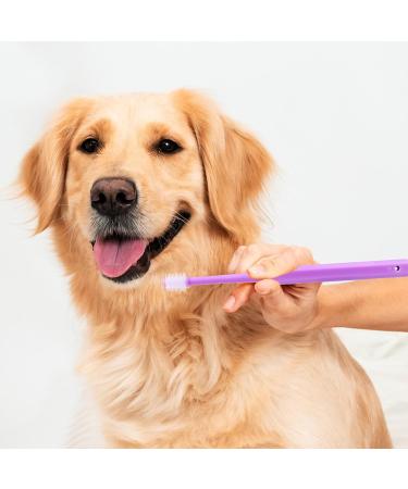 2-Piece 360 Soft Silicone Pet Toothbrush Set for Dogs & Cats | Ultimate Dental Care & Oral Hygiene Kit - Buy Online on GoSupps.com