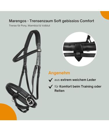 Marengos Soft Bitless Leather Bridle & Reins for Warmbloods | Anatomically Shaped Neck Piece | Premium Horse Accessories in Black - Buy Online on GoSupps.com