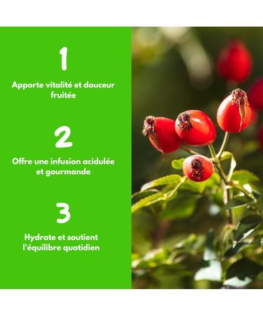 Coquilles de cynorrhodon Bio - Herbes en vrac - 100g (40 tasses) - 100% Agriculture Biologique - Mes-Th s Cynorrhodon 100 - Buy Online on GoSupps.com