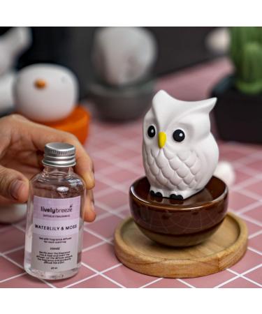 Blinky Owl Ceramic Diffusers - Non-Electric Essential Oil & Aromatherapy Diffusers for Home Office & Car - Stylish White & Brown Decor - Buy Online on GoSupps.com