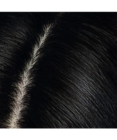 Clairol Root Touch-Up Temporary Spray - Black Hair Color (2 Count) - Buy Online on GoSupps.com