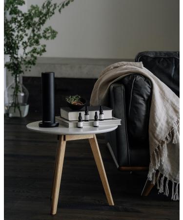 AromaTech The Bestsellers Set | Gift Set of Aroma Diffuser Essential Oils Blend of Santal The Hotel White Tea & Thyme and Love Affair - 10 mL (4 Pack) Bestsellers 0.33 Fl Oz (Pack of 4) - Buy Online on GoSupps.com