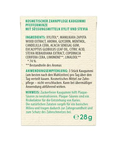 BIRKENGOLD Nature Disch Calition Chumpory - Peppermint Plastic-Free Sugar-Free 12x28g - Certified Natural Cosmetics - Buy Now! - Buy Online on GoSupps.com