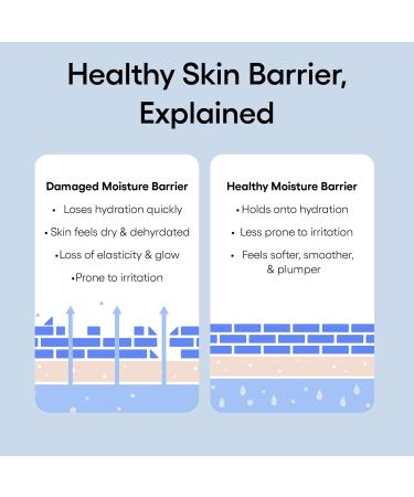 LANEIGE Water Bank Blue Hyaluronic Intensive Moisturizer: Hydrating Face Cream for Extra Dry Skin with Squalane & Peptide for Skin Barrier Support Dermatologist-Tested 1.6 Fl. Oz. / 50 ml - Buy Online on GoSupps.com