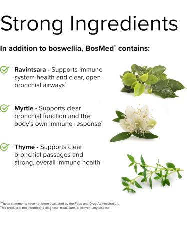 Terry Naturally BosMed Respiratory Support - Herbal Lung Supplement for Bronchial Health - 60 Softgels - International Shipping Available - Buy Online on GoSupps.com