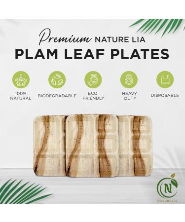 Naturelia 100% Compostable 12-Inch Palm Leaf Disposable 5 Partition Rectangle Plates- Premium Eco-Friendly Biodegradable Microwave-Safe Palm Leaf Dinnerware for Parties and Events - Buy Online on GoSupps.com