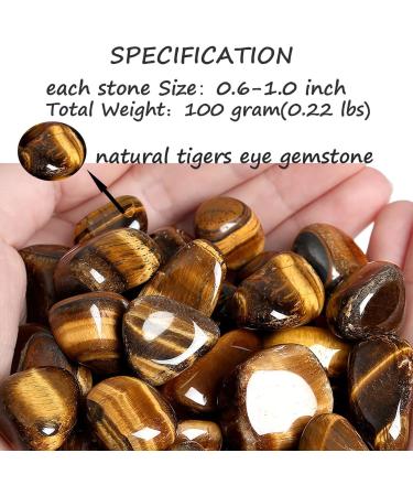 XIANNVXI Tigers Eye Natural Polished Tumbled Stones - 100g | Bulk Gemstones for Vase Filler and Reiki Energy Healing - Buy Online on GoSupps.com