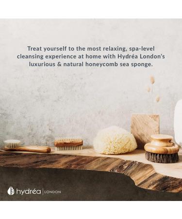 Hydrea London Natural Sea Sponge 5-5.5"- Premium Mediterranean Honeycomb Unbleached Natural Sponge for Bath and Shower for Adults Women Men Children and Baby - Buy Online on GoSupps.com
