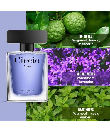 Ciccio_Aqua Eau De perfume for Men with Bergamot Lemon Mandarin and Lavender | Premium Long Lasting Luxury Fragrance Scent|Perfect Perfume for Summer 50ml - Buy Online on GoSupps.com