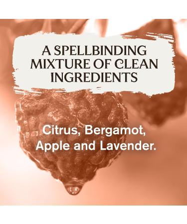 Every Man Jack Harry Potter Collectors Body Wash - Hogwarts Inspired Scents & Clean Ingredients - Charms - Wingardium Leviosa Scent - 13.5 oz (Pack of 2) - Buy Online on GoSupps.com