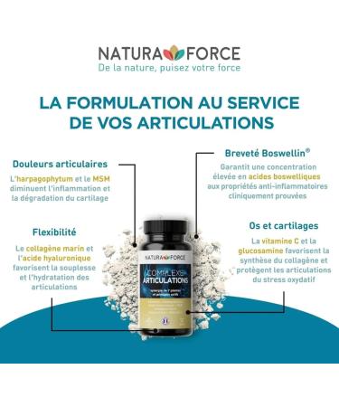 Complexe Articulations - 7 plantes et principes actifs hautement titr s - la sant articulaire - Soulagement des sympt mes de l arthrose l g re mod r e - Boite de 60 G lules Paquet de 1 - Buy Online on GoSupps.com