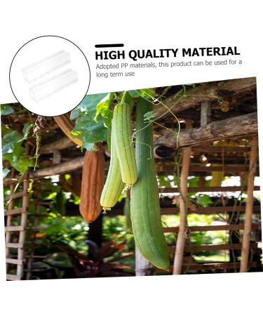 Toddmomy Vessel Tools 4 Pcs Square Cucumber Molds Vegetables One Cucumber Plant DIY Star Tool Growth Molds Container Gourd - Buy Online on GoSupps.com