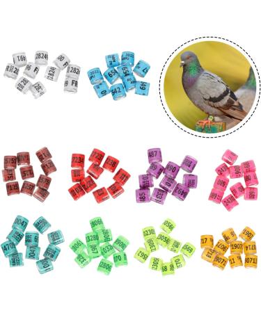 FRCOLOR 400 pcs Birds Pigeons Accessory Marker and Mixed Leash Leg Finch Thigh Ctr Bands- 1.1x0.8cm x4pcs Colorfulx4pcs - Buy Online on GoSupps.com