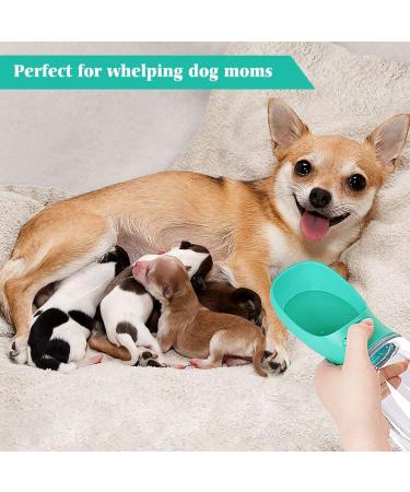 Yicostar Dog Water Bottle 19oz Mint Green - Portable Leak Proof Pet Water Dispenser for Walking, Outdoor, Travel, Hiking - Buy Online on GoSupps.com