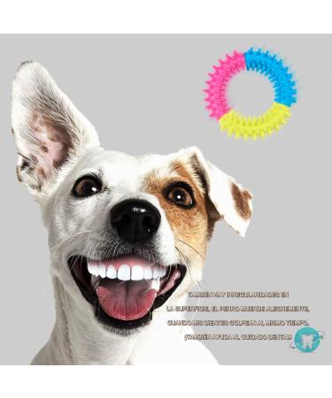 Fonpoo Interactive Dog Toys Set - 10 Natural Cotton Puppy Toys for Teeth Brushing | Perfect for Small & Medium Dogs - Red Frisbee Included - Buy Online on GoSupps.com