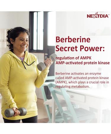 Nextdia Berberine + Whold Food Vitamin C - Buy Online on GoSupps.com