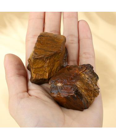 XIANNVXI Tigers Eye Crystal 1.77-2.17 Raw Stone - Natural Healing Crystal for Collectors & Beginners - Buy Online on GoSupps.com