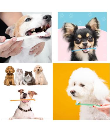 CAVLA 4 Pcs Small Dog Toothbrushes Cat Toothbrush Mini Head Soft Bristle Pet Toothbrush Pet Dental Care Kit Pet Oral Cleaning Products for Puppy Kitten Cats&Small Breed Dogs (B) - Buy Online on GoSupps.com