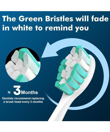 Replacement Toothbrush Heads for Philips Sonicare ProtectiveClean G2 C1 C2 - Compatible 10 Pack Sonic Electric Brush Heads - White & Green - Buy Online on GoSupps.com