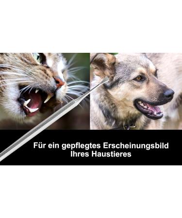 Premium Stainless Steel Dog Denture & Tartar Remover - 2-Sided Tooth Cleaner Scratcher for Pets - Buy Online on GoSupps.com
