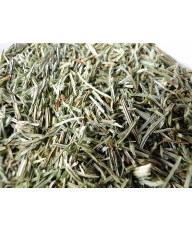 Polana Herbs Horsetail Organic Loose Tea - Fresh Harvest | Wildcrafted in Pure Meadows of Poland | Packed by Hand in Food Graded Kraft Pack | Cut and Sifted | Non-GMO | 150g- 75 Servings- 5.3 Ounce - Buy Online on GoSupps.com