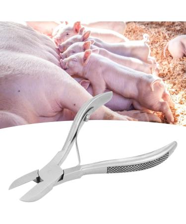 Pwshymi Stainless Steel Dental Forceps for Piglets - Comfortable Easy to Clean Dental Scissors for Newborn Teeth Trimming - Buy Online on GoSupps.com