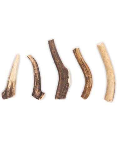 RF - Deer | Natural Deer Antler for Dogs | Long Lasting Chew Treat | Enjoyment and Dental care for your dog | HARD | 1 pcs | XXL | 161-200 g | 19-21 cm 2XL (Pack of 1) HARD - Buy Online on GoSupps.com