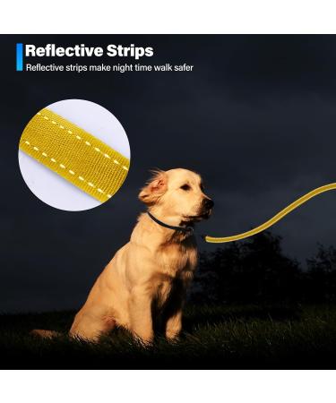Loutep Reflecting Training Lines for Dogs - Extra Long Leash in 3m 5m 10m 15m 20m 25m 30m - Strong Nylon Rope with Padded Handle for All Sizes - 20m Yellow Reflecting Dog Leash - Buy Online on GoSupps.com