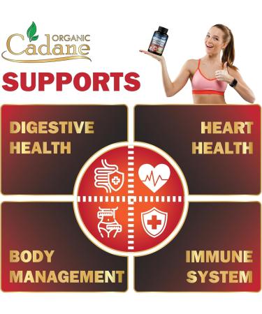 Organic Cadane Berberine Supplement 150 Capsules with Neem Leaf Apple Cider Vinegar VIT D3 E & More - Berberine Extract - Support for Immune System Digestion & Overall Health - Buy Online on GoSupps.com