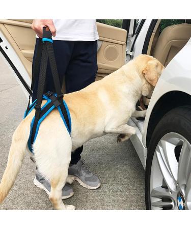 Mightyduty Portable Dog Hind Leg Support Harness | Help for Male & Female Dogs | International Shipping Available - Buy Online on GoSupps.com