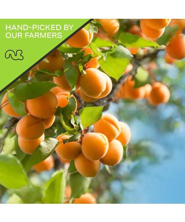 Sun Dried Turkish Apricots - No Sugar Added (16oz) | All Natural Dehydrated Fruit Snack | Vegan & Kosher Certified - Buy Online on GoSupps.com