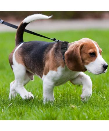 Martingale Dog Collar with Reflective Nylon Padded Half Choke with Side Release Buckle Dog Choke Collar for Medium Large Dogs Dog Training Collar (M black) M black - Buy Online on GoSupps.com