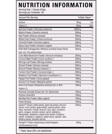 Mean Greens - Sports Greens + Reds Advanced Superfood Immunity and Gut Health | Cordyceps | Delicious Chocolate Fudge Flavor - 30 Servings Chocolate Fudge 1 Ounce (Pack of 1) - Buy Online on GoSupps.com