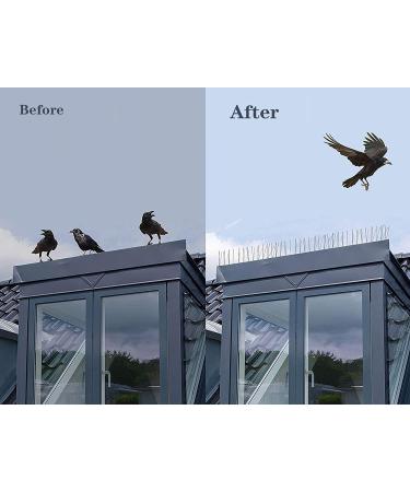 Metal Bird Spikes for Small Birds & Pigeons - Stainless Steel Anti-Nesting Deterrent 11ft (10 Pack) - Buy Online on GoSupps.com