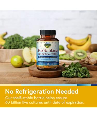 Terranics Probiotics 60 Billion CFU 20 Strains - Digestive & Immune Support Supplement for Men & Women - Non-GMO, Shelf Stable, 60 Veg Capsules - Buy Online on GoSupps.com