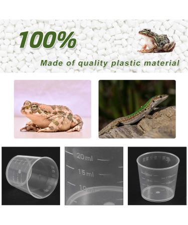 Balacoo 20pcs Pet Feeding Cup Paint Measuring Cups Small Gecko Food and Water Cups Reptile Feeder Cup Animal - Buy Online on GoSupps.com