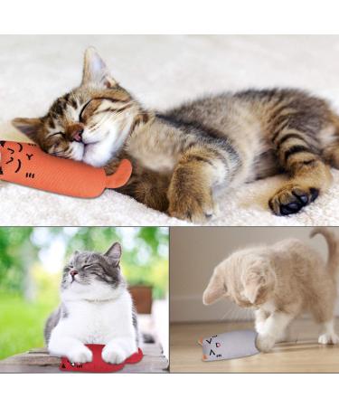 Bojafa Cat Catnip Toys For Indoor Cats Adult: 3 Pack Soft Kitten Teething Chew Toys Small Cat Kicker Toy Interactive Catnip Plush Toys Strong Catnip Pillow Pet Cute Cat Nip Teeth Cleaning Toys - Buy Online on GoSupps.com