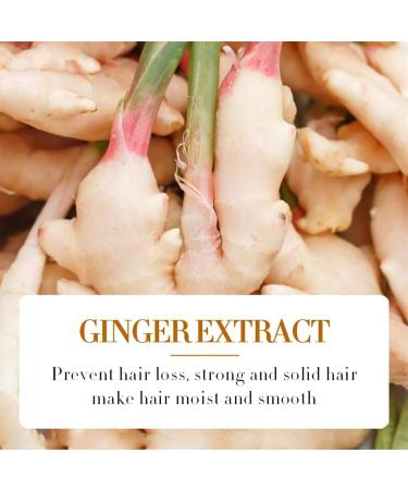 Sadoer Ginger Anti-Hair Loss Oil & Shampoo Set | Hair Growth Serum for Thicker Stronger Hair | Men's & Women's Treatment - Buy Online on GoSupps.com