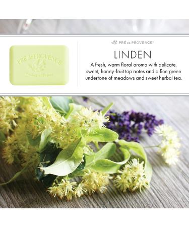 Pre de Provence Artisanal Linden Soap Bar - 5.3 Ounce (Pack of 1) | Organic Shea Butter, Quad Milled French Skincare for Smooth Moisturizing Lather - Buy Online on GoSupps.com