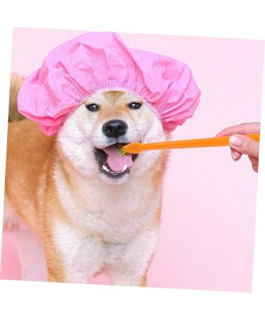 BESPORTBLE 1 Set Pet Toothbrush Dog Care Toothbrush Dog Teeth Cleaning Stick Dog Toothpaste Pp Orange - Buy Online on GoSupps.com