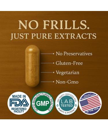 Me First Living Mushroom Complex Supplement 10 in 1 with Lions Mane, Cordyceps, Turkey Tail, Reishi, and More. High Strength Nootropic Brain Supplements for Memory & Focus - Lions Mane Supplement - Buy Online on GoSupps.com