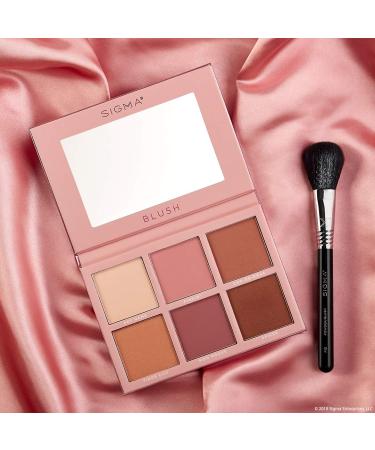 Sigma F10 PowderBlush Brush - Precision Beauty Tool for Flawless Makeup - Buy Online on GoSupps.com