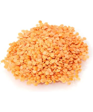Old India Masur Dal (Red Lentils) 100g - Premium Quality Lentils for Healthy Cooking - Buy Online on GoSupps.com