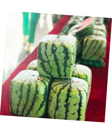 Generic 3pcs Vegetables Watermelon Growing Mold Fruit Shaping Molds Tool Pumpkin Square Forming Machine 15x15cmx3pcs Transparentx3pcs - Buy Online on GoSupps.com